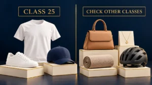 “Class 25 clothing, footwear, and headwear compared with fashion-related goods in other trademark classes.”