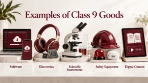 Examples of Class 9 goods, including downloadable software, electronics, scientific instruments, safety equipment, and digital content.