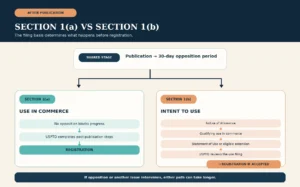 Comparison of post-publication trademark timelines for a Section 1(a) use-based application and a Section 1(b) intent-to-use application.