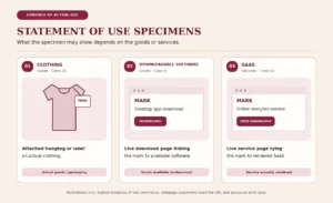 Illustrated specimen examples showing an attached clothing hangtag, a downloadable software page, and a SaaS service page.